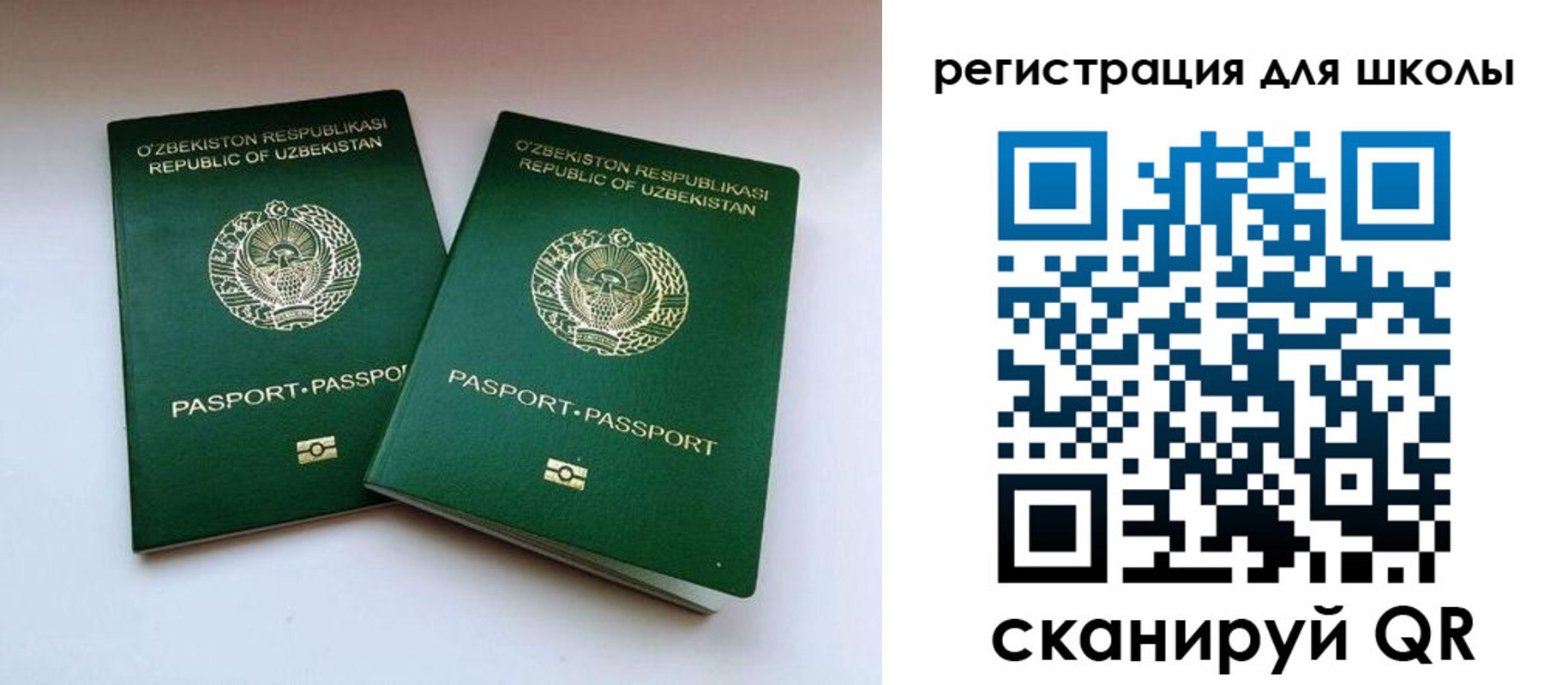 прописка для школы в Азове